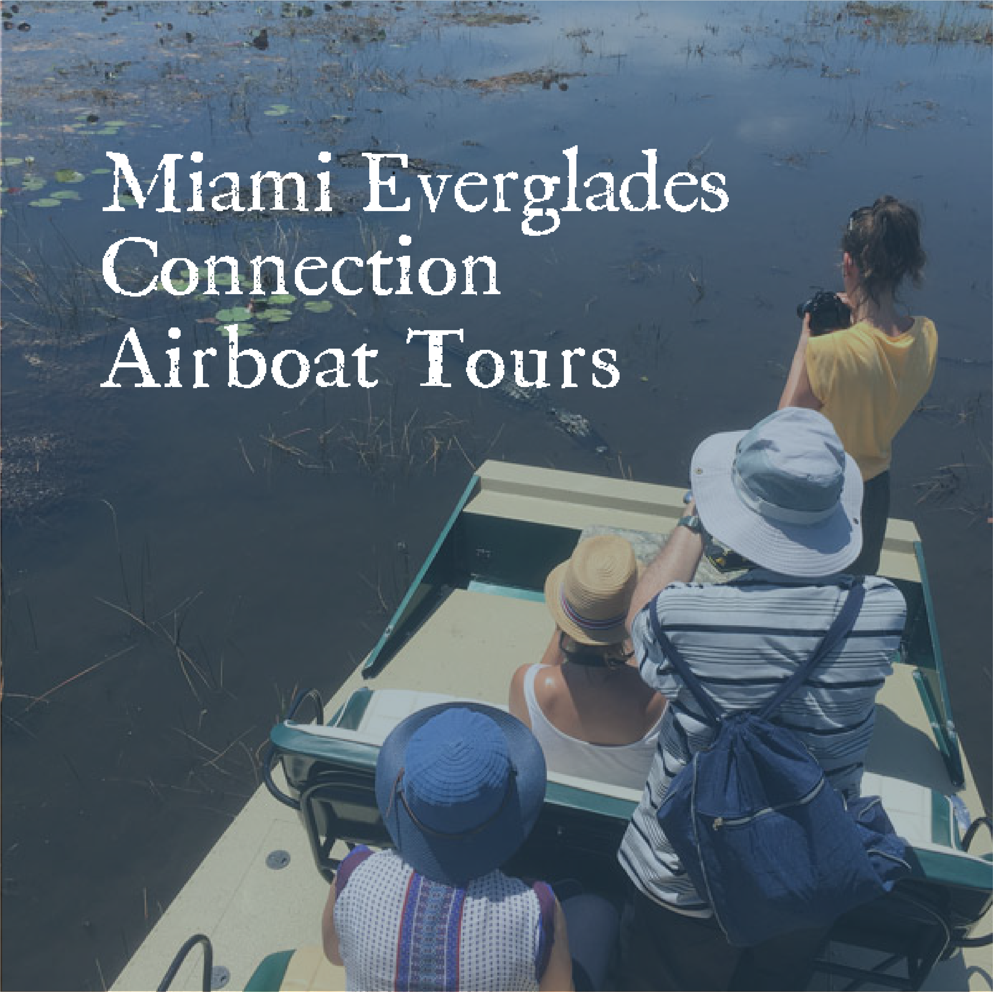 Miami Everglades Connection Case Study