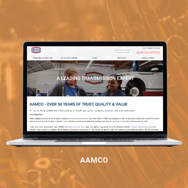AAMCO Case Study