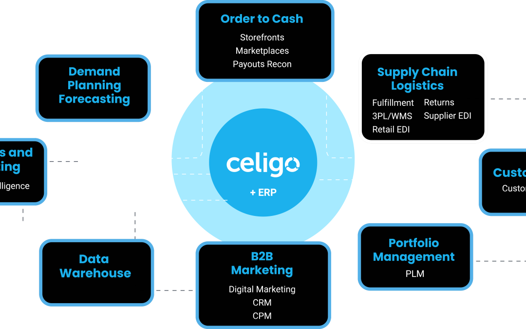 What is Celigo? The Definitive Guide to the Leading iPaaS